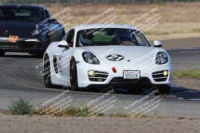 media/May-03-2024-PCA Central Coast (Fri) [[eaa7da0ee1]]/Yellow Group/Session 1 (Grapevine)/